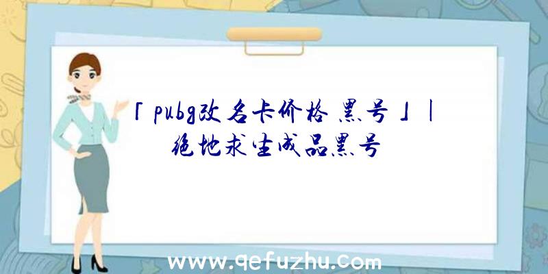 「pubg改名卡价格